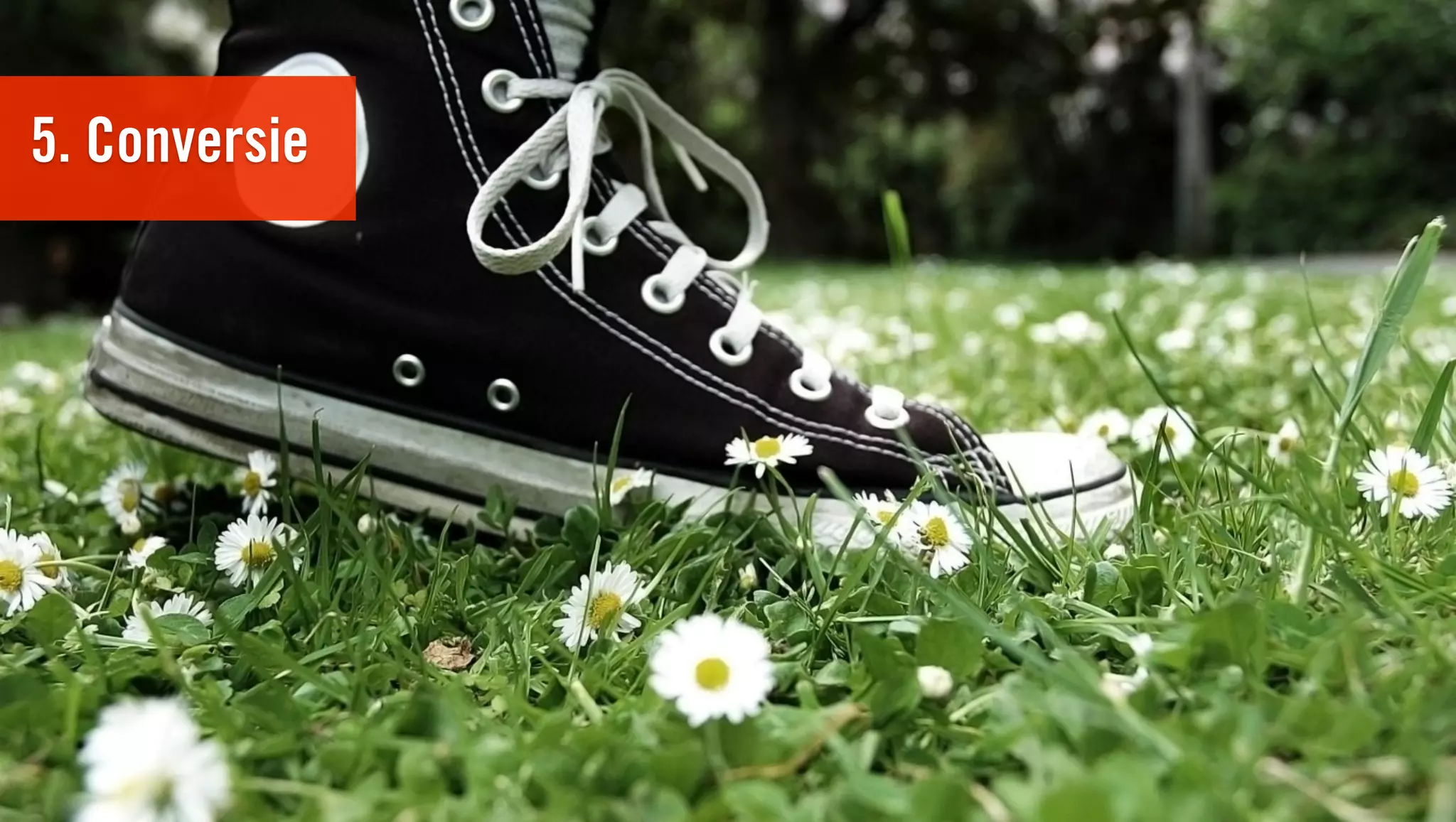 5. Conversie
 