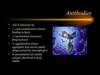 Antibodies Aid in immunity by: 1- viral neutralization (blocks binding to host) 2- opsonization (increases phagocytosis) 3- agglutination (forms aggregates that can be readily phagocytosed by macrophages) 4- precipitation (of soluble antigens dissolved in body fluids) 