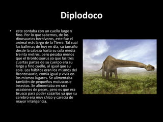Diplodoco
•   este contaba con un cuello largo y
    fino. Por lo que sabemos, de los
    dinosaurios herbívoros, este fue el
    animal más largo de la Tierra. Tal cual
    las ballenas de hoy en día, su tamaño
    desde la cabeza hasta su cola medía
    treinta metros, pero pesaba menos
    que el Brontosaurus ya que las tres
    cuartas partes de su cuerpo era su
    largo y fino cuello, al igual que su
    cola. Los hábitos eran los mismos del
    Brontosaurio, comía igual y vivía en
    los mismos lugares. Se alimentaba
    también de pequeños moluscos e
    insectos. Se alimentaba en rara
    ocasiones de peces, pero es que era
    brusco para poder cazarlos ya que su
    cerebro era muy chico y carecía de
    mayor inteligencia.
 
