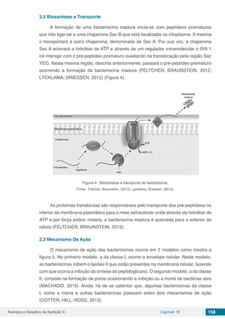 Avanços e Desafios da Nutrição 3 Capítulo 18 158
2.2	Biossíntese e Transporte
A formação de uma bacteriocina madura inicia-se com peptídeos prematuros
que irão ligar-se a uma chaperona Sec B que está localizada no citoplasma. A mesma
o transportará a outra chaperona, denominada de Sec A. Por sua vez, a chaperona
Sec A acionará a hidrólise de ATP e através de um regulador intramolecular o IRA 1
irá interagir com o pré-peptídeo prematuro auxiliando na translocação pela região Sec
YEG. Nesta mesma região, descrita anteriormente, passará o pré-peptídeo prematuro
ocorrendo a formação da bacteriocina madura (FELTCHER; BRAUNSTEIN, 2012;
LYCKLAMA; DRIESSEN, 2012) (Figura 4).
Figura 4: Biossíntese e transporte de bacteriocina.
Fonte: Feltcher; Braunstein, (2012); Lycklama; Driessen, (2012).
As proteínas translocase são responsáveis pelo transporte dos pré-peptídeos no
interior da membrana plasmática para o meio extracelular onde através da hidrólise de
ATP e por força próton motora, a bacteriocina madura é acionada para o exterior da
célula (FELTCHER; BRAUNSTEIN, 2012).
2.3	Mecanismo De Ação
O mecanismo de ação das bacteriocinas ocorre em 2 modelos como mostra a
figura 5. No primeiro modelo, a da classe I, ocorre o envelope celular. Neste modelo,
as bacteriocinas inibem o lipídeo II que estão presentes na membrana celular, fazendo
com que ocorra a inibição da síntese de peptidoglicano. O segundo modelo, a da classe
II, consiste na formação de poros ocasionando a inibição ou a morte de bactérias alvo
(MACHADO, 2015). Ainda, há de se salientar que, algumas bacteriocinas da classe
I, como a nisina e outras bacteriocinas possuem estes dois mecanismos de ação
(COTTER; HILL; ROSS, 2013).
 
