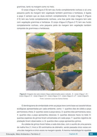 Educação, Meio Ambiente e Território 2 Capítulo 26 260
gramínea, tanto na margem como no meio.
O corpo d’água 4 (Figura 2 D) tem seu fundo completamente rochoso e só uma
pequena parte da margem tem vegetação também gramínea e herbácea, é ligada
a poça 3 sempre que as duas enchem completamente. O corpo d’água 5 (Figura
2 E) tem seu fundo completamente rochoso, uma boa parte das margens tem solo
com vegetação gramínea e herbácea. O corpo d’água 6 (Figura 2 F) tem seu fundo
completamente rochoso, uma pequena parte da margem tem vegetação também
composta de gramíneas e herbáceas.
Figura 2- Imagens dos seis corpos d’água selecionados para o estudo. A - corpo d’água 1; B -
corpo d’água 2; C - corpo d’água 3; D - corpo d’água 4; E - corpo d’água 5; e F - corpo d’água 6.
Fonte: Leonardo Lucas dos Santos Dantas.
O dendrograma de similaridade entre as poças teve como base as características
ecológicas apresentadas por cada ambiente, como: 1- quantos dias de coleta a poça
permaneceu cheia; 2- quantas vezes a poça secou; 3- quantos dias permaneceu seca;
4- quantos dias a poça apresentou desovas; 5- quantas desovas havia no total; 6-
quantas espécies de girinos foram amostradas em cada poça; 7- quantos registros de
predação foram observados; e, 8- quantos dias a poça apresentou girinos.
As coletas de girinos foram feitas a cada dois dias, com o auxílio de uma peneira
de malha fina (1,1mm) e 30 centímetros de diâmetro, sendo passada cinco vezes em
uma das margens e cinco vezes na margem oposta. A mesma metodologia foi repetida
 