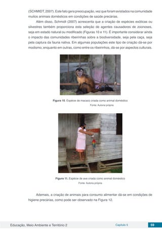 Educação, Meio Ambiente e Território 2 Capítulo 5 59
(SCHMIDT, 2007). Este fato gera preocupação, vez que foram avistados na comunidade
muitos animais domésticos em condições de saúde precárias.
Além disso, Schmidt (2007) acrescenta que a criação de espécies exóticas ou
silvestres também proporciona esta seleção de agentes causadores de zoonoses,
seja em estado natural ou modificado (Figuras 10 e 11). É importante considerar ainda
o impacto das comunidades ribeirinhas sobre a biodiversidade, seja pela caça, seja
pela captura da fauna nativa. Em algumas populações este tipo de criação dá-se por
modismo, enquanto em outras, como entre os ribeirinhos, dá-se por aspectos culturais.
Figura 10. Espécie de macaco criada como animal doméstico
Fonte: Autoria própria
Figura 11. Espécie de ave criada como animal doméstico
Fonte: Autoria própria
Ademais, a criação de animais para consumo alimentar dá-se em condições de
higiene precárias, como pode ser observado na Figura 12.
 