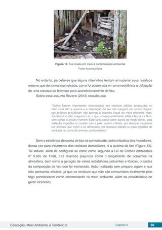 Educação, Meio Ambiente e Território 2 Capítulo 5 60
Figura 12. Ave criada em meio à contaminação ambiental
Fonte: Autoria própria
No entanto, percebe-se que alguns ribeirinhos tentam armazenar seus resíduos
mesmo que de forma improvisada, como foi observada em uma residência a utilização
de uma carcaça de televisor para acondicionamento de lixo.
Sobre esse assunto Roversi (2013) ressalta que
“Outros fatores importantes relacionados aos resíduos sólidos produzidos no
meio rural são a queima e a deposição de lixo nas margens de cursos d’água;
tais práticas prejudicam não apenas o aspecto visual do meio ambiente, mas,
sobretudo, o solo, a água e o ar, o que, consequentemente, afeta a fauna e a flora,
sem contar o próprio homem. Este tanto pode sofrer danos de modo direto, pela
inalação, ingestão ou contato com a pele, quanto indireto, por doenças causadas
por animais que vivem e se alimentam dos resíduos sólidos ou pela ingestão de
verduras ou carne de animais contaminados.”
Sem a existência de coleta de lixo na comunidade, outra iniciativa dos moradores,
dessa vez para tratamento dos resíduos domiciliares, é a queima do lixo (Figura 13).
Tal atitude, além de configurar-se como crime segundo a Lei de Crimes Ambientais
nº 9.605 de 1998, traz diversos prejuízos como o lançamento de poluentes na
atmosfera, bem como a geração de várias substâncias poluentes e tóxicas, oriundas
da composição do lixo que foi incinerado. Ação realizada sem preparo algum e que
não apresenta eficácia, já que os resíduos que não são consumidos totalmente pelo
fogo permanecem como contaminante no meio ambiente, além da possibilidade de
gerar incêndios.
 