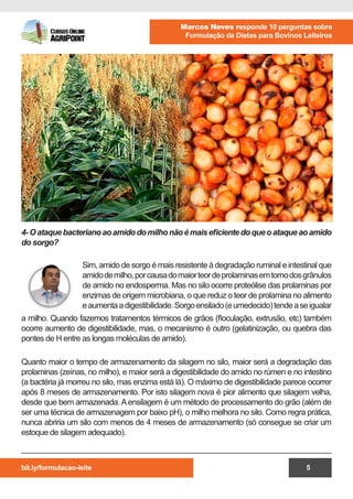 bit.ly/formulacao-leite
Marcos Neves responde 10 perguntas sobre
Formulação de Dietas para Bovinos Leiteiros
5
Sim, amido de sorgo é mais resistente à degradação ruminal e intestinal que
amidodemilho,porcausadomaiorteordeprolaminasemtornodosgrânulos
de amido no endosperma. Mas no silo ocorre proteólise das prolaminas por
enzimas de origem microbiana, o que reduz o teor de prolamina no alimento
eaumentaadigestibilidade.Sorgoensilado(eumedecido)tendeaseigualar
4-Oataquebacterianoaoamidodomilhonãoémaiseficientedoqueoataqueaoamido
do sorgo?
a milho. Quando fazemos tratamentos térmicos de grãos (floculação, extrusão, etc) também
ocorre aumento de digestibilidade, mas, o mecanismo é outro (gelatinização, ou quebra das
pontes de H entre as longas moléculas de amido).
Quanto maior o tempo de armazenamento da silagem no silo, maior será a degradação das
prolaminas (zeínas, no milho), e maior será a digestibilidade do amido no rúmen e no intestino
(a bactéria já morreu no silo, mas enzima está lá). O máximo de digestibilidade parece ocorrer
após 8 meses de armazenamento. Por isto silagem nova é pior alimento que silagem velha,
desde que bem armazenada.Aensilagem é um método de processamento do grão (além de
ser uma técnica de armazenagem por baixo pH), o milho melhora no silo. Como regra prática,
nunca abriria um silo com menos de 4 meses de armazenamento (só consegue se criar um
estoque de silagem adequado).
 