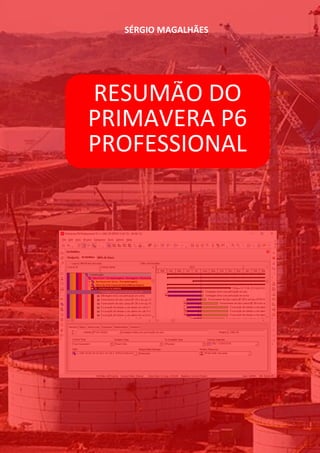 RESUMÃO DO
PRIMAVERA P6
PROFESSIONAL
SÉRGIO MAGALHÃES
 