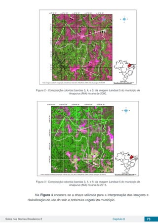 Solos nos Biomas Brasileiros 2 Capítulo 8 73
Figura 2 - Composição colorida (bandas 3, 4, e 5) da imagem Landsat 5 do município de
Anapurus (MA) no ano de 2000.
Figura 3 - Composição colorida (bandas 3, 4, e 5) da imagem Landsat 5 do município de
Anapurus (MA) no ano de 2015.
Na Figura 4 encontra-se a chave utilizada para a interpretação das imagens e
classificação do uso do solo e cobertura vegetal do município.
 