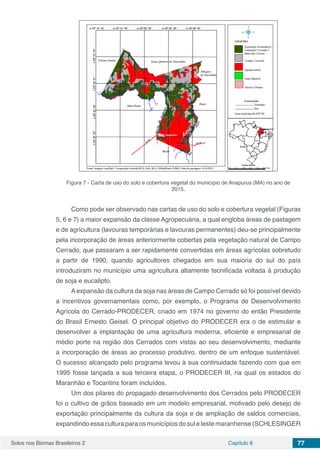 Solos nos Biomas Brasileiros 2 Capítulo 8 77
Figura 7 - Carta de uso do solo e cobertura vegetal do município de Anapurus (MA) no ano de
2015.
Como pode ser observado nas cartas de uso do solo e cobertura vegetal (Figuras
5, 6 e 7) a maior expansão da classe Agropecuária, a qual engloba áreas de pastagem
e de agricultura (lavouras temporárias e lavouras permanentes) deu-se principalmente
pela incorporação de áreas anteriormente cobertas pela vegetação natural de Campo
Cerrado, que passaram a ser rapidamente convertidas em áreas agrícolas sobretudo
a partir de 1990, quando agricultores chegados em sua maioria do sul do país
introduziram no município uma agricultura altamente tecnificada voltada à produção
de soja e eucalipto.
Aexpansão da cultura da soja nas áreas de Campo Cerrado só foi possível devido
a incentivos governamentais como, por exemplo, o Programa de Desenvolvimento
Agrícola do Cerrado-PRODECER, criado em 1974 no governo do então Presidente
do Brasil Ernesto Geisel. O principal objetivo do PRODECER era o de estimular e
desenvolver a implantação de uma agricultura moderna, eficiente e empresarial de
médio porte na região dos Cerrados com vistas ao seu desenvolvimento, mediante
a incorporação de áreas ao processo produtivo, dentro de um enfoque sustentável.
O sucesso alcançado pelo programa levou à sua continuidade fazendo com que em
1995 fosse lançada a sua terceira etapa, o PRODECER III, na qual os estados do
Maranhão e Tocantins foram incluídos.
Um dos pilares do propagado desenvolvimento dos Cerrados pelo PRODECER
foi o cultivo de grãos baseado em um modelo empresarial, motivado pelo desejo de
exportação principalmente da cultura da soja e de ampliação de saldos comerciais,
expandindo essa cultura para os municípios do sul e leste maranhense (SCHLESINGER
 
