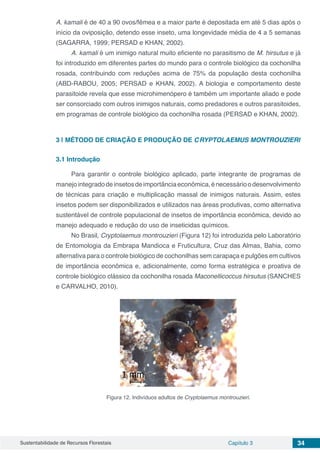 Sustentabilidade de Recursos Florestais Capítulo 3 34
A. kamali é de 40 a 90 ovos/fêmea e a maior parte é depositada em até 5 dias após o
início da oviposição, detendo esse inseto, uma longevidade média de 4 a 5 semanas
(SAGARRA, 1999; PERSAD e KHAN, 2002).
A. kamali é um inimigo natural muito eficiente no parasitismo de M. hirsutus e já
foi introduzido em diferentes partes do mundo para o controle biológico da cochonilha
rosada, contribuindo com reduções acima de 75% da população desta cochonilha
(ABD-RABOU, 2005; PERSAD e KHAN, 2002). A biologia e comportamento deste
parasitoide revela que esse microhimenópero é também um importante aliado e pode
ser consorciado com outros inimigos naturais, como predadores e outros parasitoides,
em programas de controle biológico da cochonilha rosada (PERSAD e KHAN, 2002).
3 | 	MÉTODO DE CRIAÇÃO E PRODUÇÃO DE CRYPTOLAEMUS MONTROUZIERI
3.1 Introdução
Para garantir o controle biológico aplicado, parte integrante de programas de
manejointegradodeinsetosdeimportânciaeconômica,énecessárioodesenvolvimento
de técnicas para criação e multiplicação massal de inimigos naturais. Assim, estes
insetos podem ser disponibilizados e utilizados nas áreas produtivas, como alternativa
sustentável de controle populacional de insetos de importância econômica, devido ao
manejo adequado e redução do uso de inseticidas químicos.
No Brasil, Cryptolaemus montrouzieri (Figura 12) foi introduzida pelo Laboratório
de Entomologia da Embrapa Mandioca e Fruticultura, Cruz das Almas, Bahia, como
alternativa para o controle biológico de cochonilhas sem carapaça e pulgões em cultivos
de importância econômica e, adicionalmente, como forma estratégica e proativa de
controle biológico clássico da cochonilha rosada Maconellicoccus hirsutus (SANCHES
e CARVALHO, 2010).
Figura 12. Indivíduos adultos de Cryptolaemus montrouzieri.
 