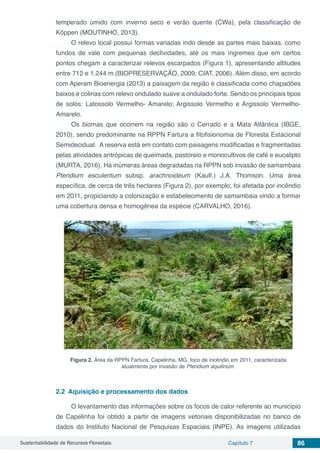 Sustentabilidade de Recursos Florestais Capítulo 7 86
temperado úmido com inverno seco e verão quente (CWa), pela classificação de
Köppen (MOUTINHO, 2013).
O relevo local possui formas variadas indo desde as partes mais baixas, como
fundos de vale com pequenas declividades, até os mais íngremes que em certos
pontos chegam a caracterizar relevos escarpados (Figura 1), apresentando altitudes
entre 712 e 1.244 m (BIOPRESERVAÇÃO, 2009; CIAT, 2006). Além disso, em acordo
com Aperam Bioenergia (2013) a paisagem da região é classificada como chapadões
baixos e colinas com relevo ondulado suave a ondulado forte. Sendo os principais tipos
de solos: Latossolo Vermelho- Amarelo; Argissolo Vermelho e Argissolo Vermelho-
Amarelo.
Os biomas que ocorrem na região são o Cerrado e a Mata Atlântica (IBGE,
2010), sendo predominante na RPPN Fartura a fitofisionomia de Floresta Estacional
Semidecidual. A reserva está em contato com paisagens modificadas e fragmentadas
pelas atividades antrópicas de queimada, pastoreio e monocultivos de café e eucalipto
(MURTA, 2016). Há inúmeras áreas degradadas na RPPN sob invasão de samambaia
Pteridium esculentum subsp. arachnoideum (Kaulf.) J.A. Thomson. Uma área
específica, de cerca de três hectares (Figura 2), por exemplo, foi afetada por incêndio
em 2011, propiciando a colonização e estabelecimento de samambaia vindo a formar
uma cobertura densa e homogênea da espécie (CARVALHO, 2016).
Figura 2. Área da RPPN Fartura, Capelinha, MG, foco de incêndio em 2011, caracterizada
atualmente por invasão de Pteridium aquilinum.
2.2	 Aquisição e processamento dos dados
O levantamento das informações sobre os focos de calor referente ao município
de Capelinha foi obtido a partir de imagens vetoriais disponibilizadas no banco de
dados do Instituto Nacional de Pesquisas Espaciais (INPE). As imagens utilizadas
 