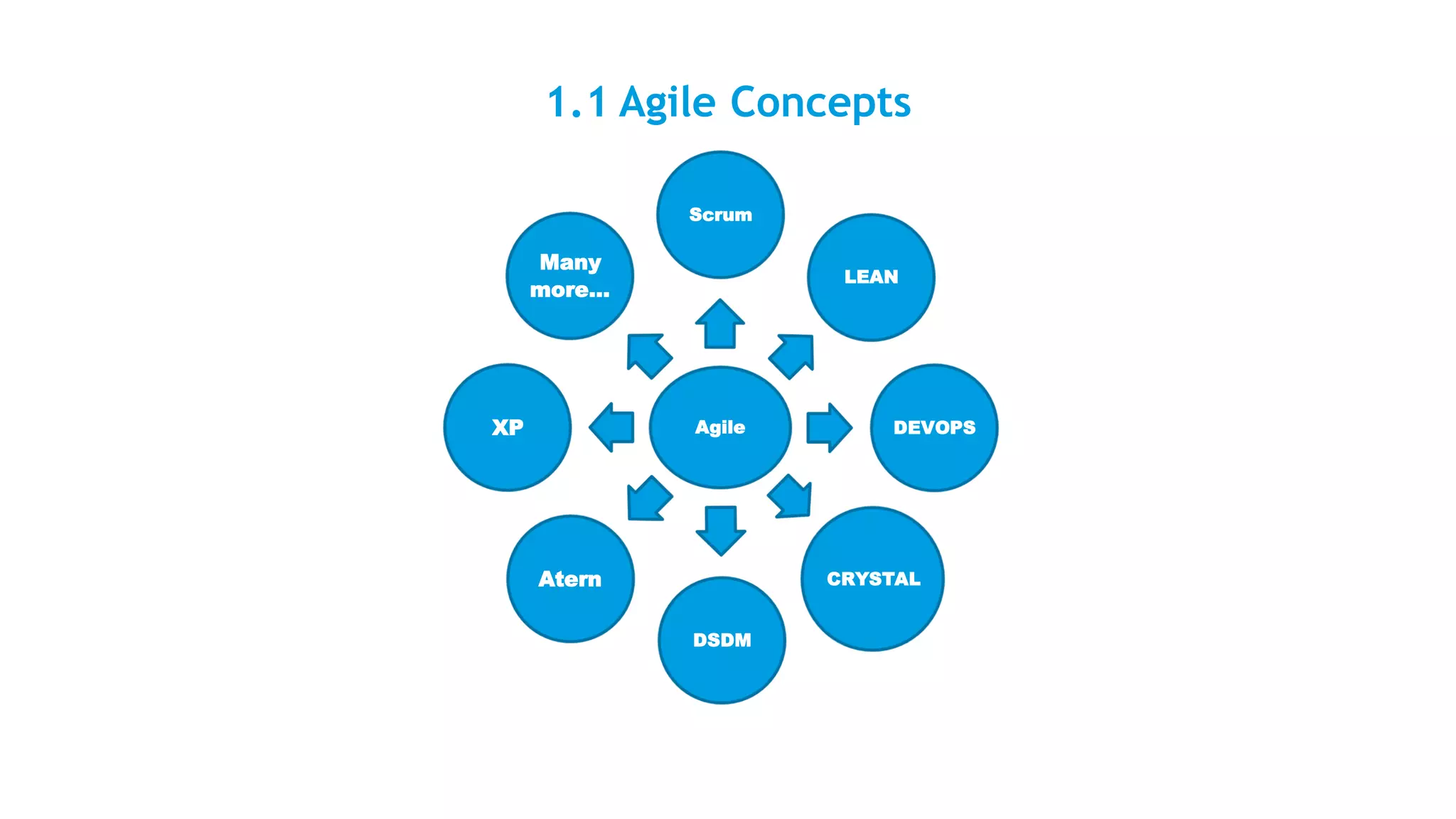 1.1 Agile Concepts
Scrum
Many
more...
LEAN
XP Agile DEVOPS
Atern CRYSTAL
DSDM
 