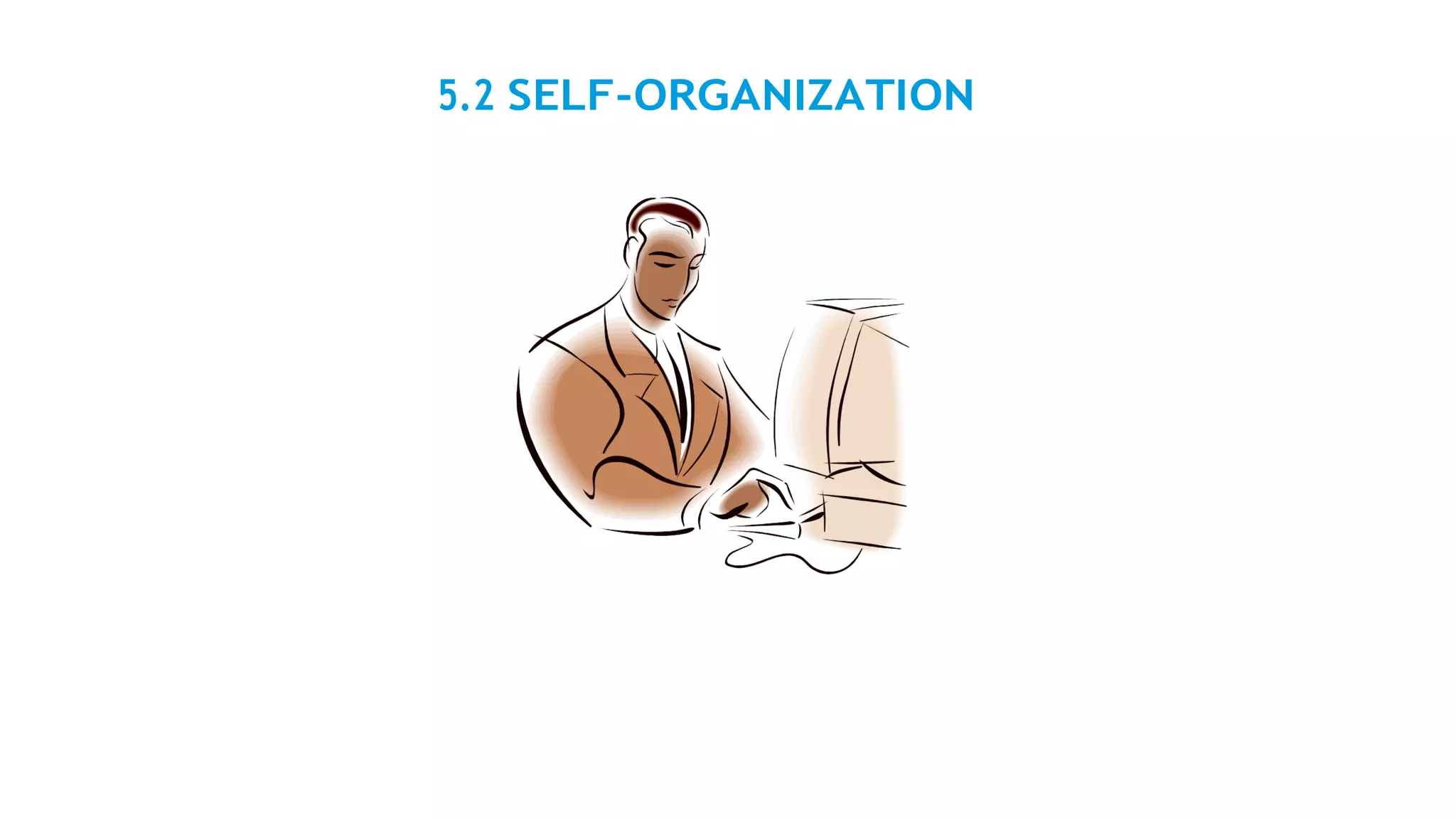 5.2 SELF-ORGANIZATION
 
