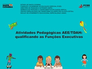 Funções Executivas - Jogo Educativo de Raciocínio em Madeira