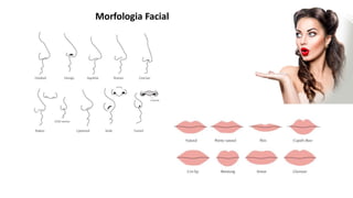 Morfologia Facial
 