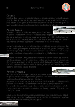 28 Conservar e Comer
Comer
Existem dois grandes grupos de peixes: os peixes azuis e os peixes brancos.
Para distinguir os dois tipos deverá observar a forma do peixe, a cor da
pele, a forma, posição e número de barbatanas, se tem escamas e quais as
suas características, e particularidades existentes na cabeça.
Peixes Azuis
Sardinha, Carapau/Chicharro, Atum, Cavala, Salmão
Os peixes azuis são saudáveis, saborosos e fáceis de preparar.
São caracterizados por terem uma cor azulada na região do lombo e por
conterem na sua composição um alto teor de gordura. Este indicador varia
consoante a altura do ano em que estas espécies são capturadas.
Neste grupo estão os peixes migratórios que utilizam as reservas de gordu-
ra para as longas viagens. São ainda ricos em ácidos gordos ómega 3, cujo
consumo regular (pelo menos 3 vezes por semana) previne doenças cardio-
vasculares, reduz o colesterol e o crescimento de células cancerígenas.
Os peixes azuis são, ainda, um alimento de fácil digestão e baixo em calorias;
contêm proteínas com diversos aminoácidos fundamentais ao organismo;
são ricos em vitaminas A, D e B12, essenciais à visão, pele, absorção de cálcio
(necessários aos dentes e aos ossos), absorção de fósforo (essencial para o
cérebro) e ao metabolismo do corpo.
Peixes Brancos
Pescada, Bacalhau, Besugo, Tamboril, Dourada e Robalo
Os peixes brancos ou magros são ligeiros, suaves e tenros. São peixes mais
finos, com baixo teor de calorias e gordura.
Possuem, regra geral, cor da pele prateada. Preferem viver em águas mais
profundas e vivem de um modo mais sedentário que os peixes azuis.
São uma fonte importante de proteínas e sais minerais; são recomendados
a bebés e crianças, uma vez que a sua carne é magra, suave e digere-se com
muita facilidade.
A sua carne é rica em vitamina B, responsável pela transformação dos di-
versos tipos de açúcar, pela regulação do sistema nervoso e dos impulsos
nervosos e pela metabolização do oxigénio.
 