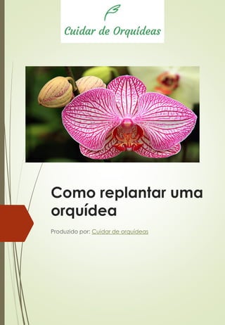 Como replantar uma
orquídea
Produzido por: Cuidar de orquídeas
 