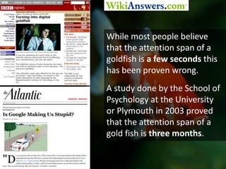 While most people believe that the attention span of a goldfish is a few seconds this has been proven wrong.A study done by the School of Psychology at the University or Plymouth in 2003 proved that the attention span of a gold fish is three months.