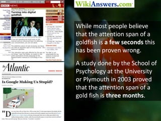 While most people believe that the attention span of a goldfish is a few seconds this has been proven wrong.<br />A study ...