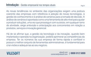 E book vilesoft erp