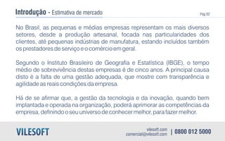 E book vilesoft erp