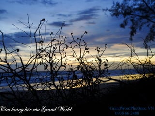 Tím hoàng hôn của Grand World GrandWordPhuQuoc.VN
0938 66 2488
 