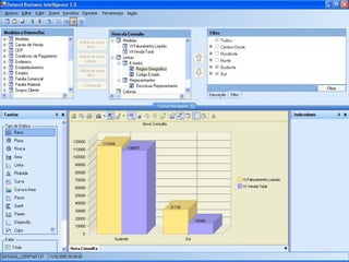 E Business Brasil V.5
