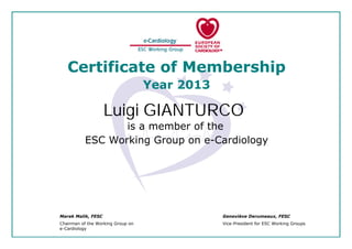 ESC Working Group on e-Cardiology
is a member of the
Year 2013
Certificate of Membership
Luigi GIANTURCO
Vice-President for ESC Working GroupsChairman of the Working Group on
e-Cardiology
Marek Malik, FESC Geneviève Derumeaux, FESC
 