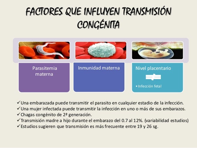 Resultado de imagen para Enfermedad de Chagas: la transmisiÃ³n materna