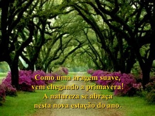 Como uma aragem suave, vem chegando a primavera! A natureza se abraça nesta nova estação do ano. 