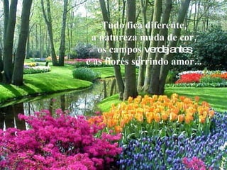 Tudo fica diferente, a natureza muda de cor, os campos  verdejantes e as flores sorrindo amor... 
