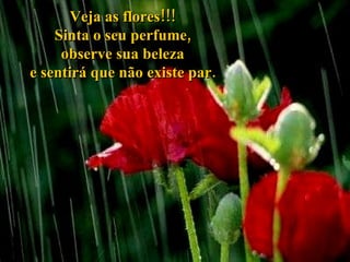 Veja as flores!!! Sinta o seu perfume, observe sua beleza e sentirá que não existe par. 