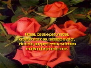 Rosas, belas e perfumadas, cada uma tem seu segredo e valor, dia a dia, sempre lindas e vaidosas mostrando somente amor. 