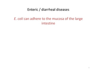 7
Enteric / diarrheal diseases
E. coli can adhere to the mucosa of the large
intestine
 