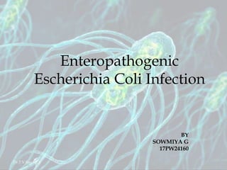 Enteropathogenic
Escherichia Coli Infection
BY
SOWMIYA G
17PW24160
Dr.T.V.Rao MD
 