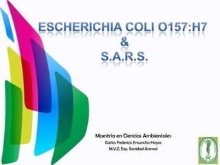 EscherichiaColi O157:H7  & S.a.r.s. Maestría en Ciencias Ambientales Carlos Federico Ensuncho Hoyos M.V.Z; Esp. Sanidad Animal 
