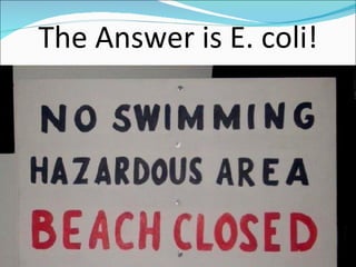 The Answer is E. coli! 