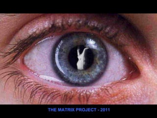 THE MATRIX PROJECT - 2011 