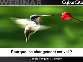 Pourquoi ce changement estival ?

 