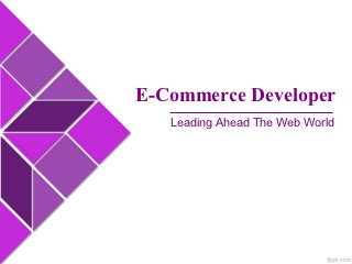 E-Commerce Developer
   Leading Ahead The Web World
 