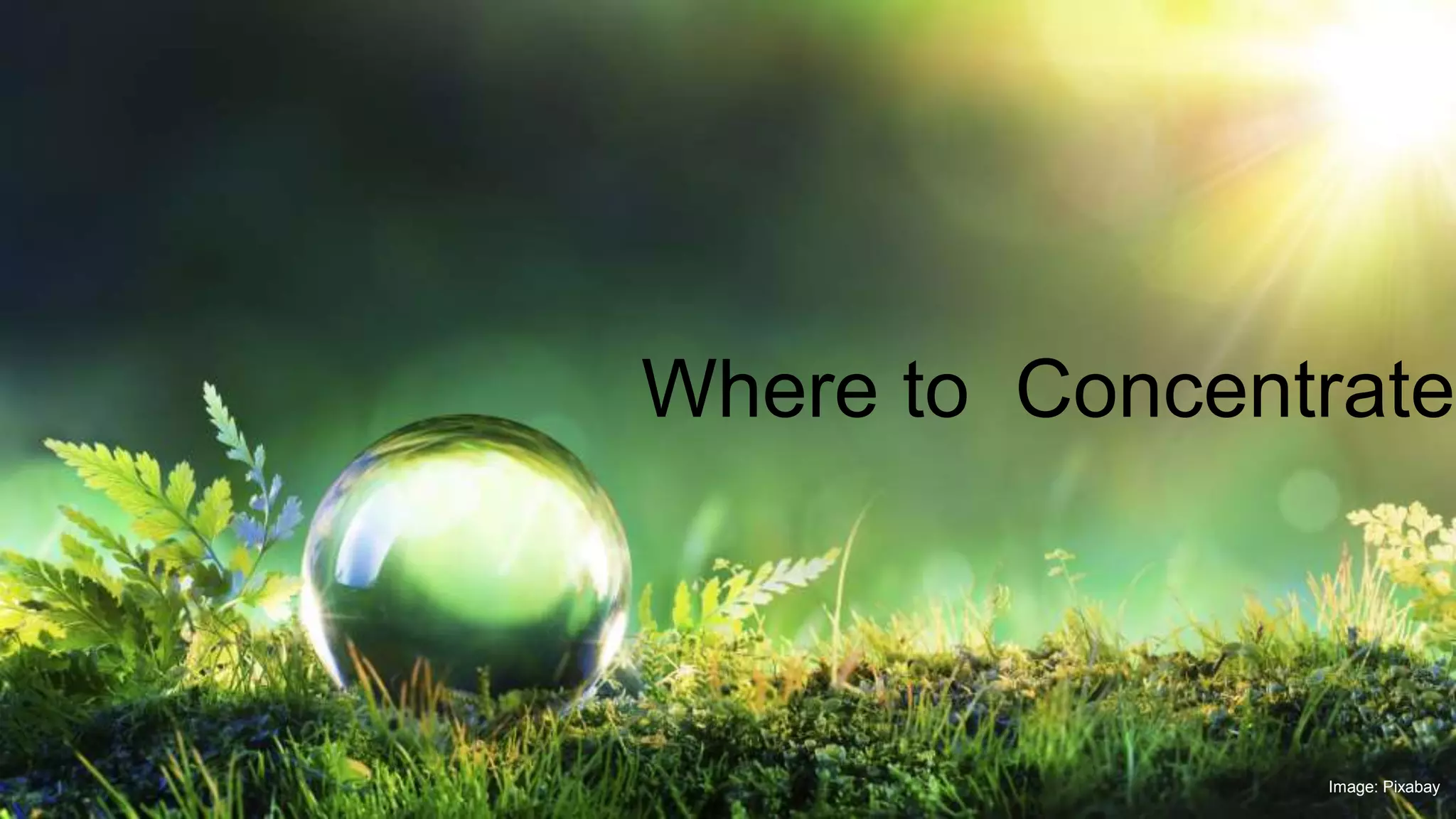 Where to Concentrate
Image: Pixabay
 