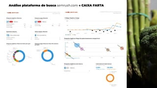 Análise plataforma de busca semrush.com → CAIXA FARTA
 