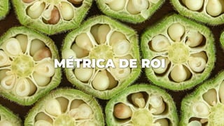 MÉTRICA DE ROI
 