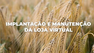 IMPLANTAÇÃO E MANUTENÇÃO
DA LOJA VIRTUAL
 