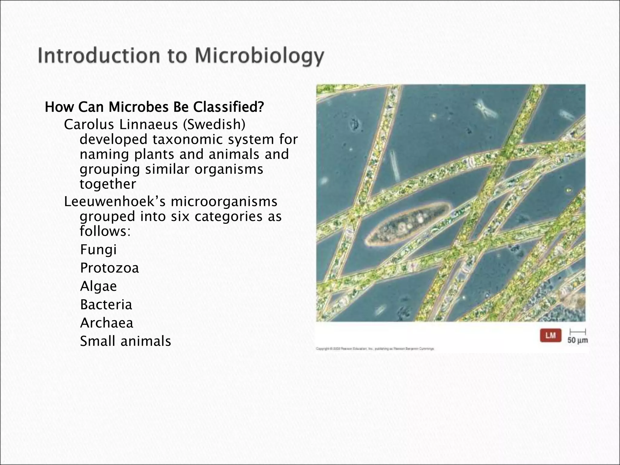 How Can Microbes Be Classified?
Carolus Linnaeus (Swedish)
developed taxonomic system for
naming plants and animals and
grouping similar organisms
together
Leeuwenhoek’s microorganisms
grouped into six categories as
follows:
Fungi
Protozoa
Algae
Bacteria
Archaea
Small animals
 