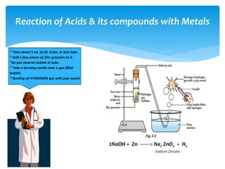 Reaction of Acids & its compounds with Metals
2NaOH + Zn -------> Na2 ZnO2 + H2
Sodium Zincate
 