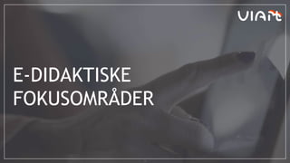 E-DIDAKTISKE
FOKUSOMRÅDER
4
 