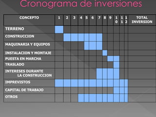 CONCEPTO        1   2   3   4 5   6   7 8 9   1 1 1     TOTAL
                                                      0 1 2   INVERSION

TERRENO
CONSTRUCCION

MAQUINARIA Y EQUIPOS

INSTALACION Y MONTAJE
PUESTA EN MARCHA
TRASLADO
INTERESES DURANTE
     LA CONSTRUCCION
IMPREVISTOS

CAPITAL DE TRABAJO
OTROS
 