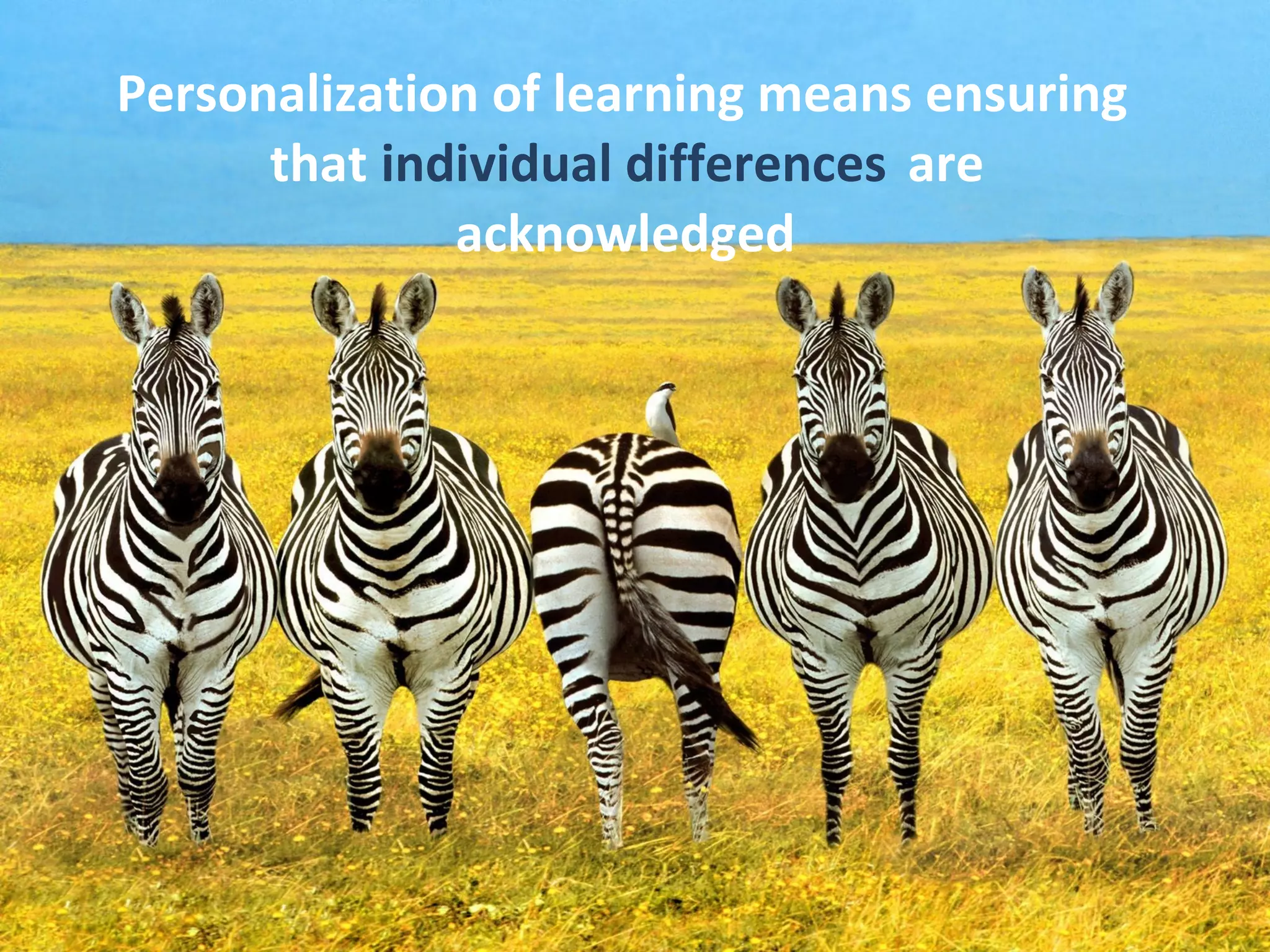 Personalization of learning means ensuring  that  individual differences  are  acknowledged 