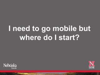 I need to go mobile but
    where do I start?
 