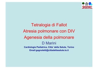 Tetralogia di Fallot
Atresia polmonare con DIV
Agenesia della polmonare
D Marini
Cardiologia Pediatrica, Citta’ della Salute, Torino
Email:gagnoletti@cittadellasalute.to.it

 