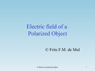 Electric field of a  Polarized Object © Frits F.M. de Mul 